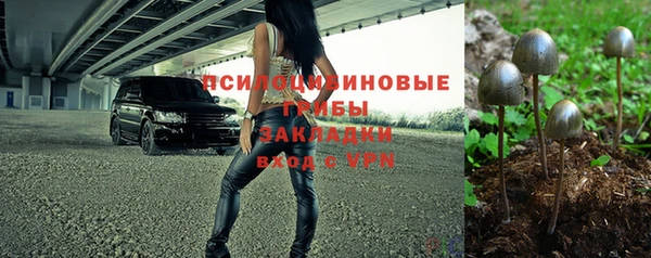 соль ск Арсеньев