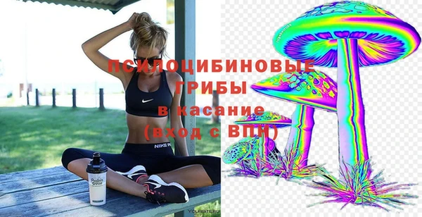 МДПВ Аркадак
