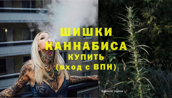 прущие грибы Касимов