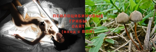 соль ск Арсеньев