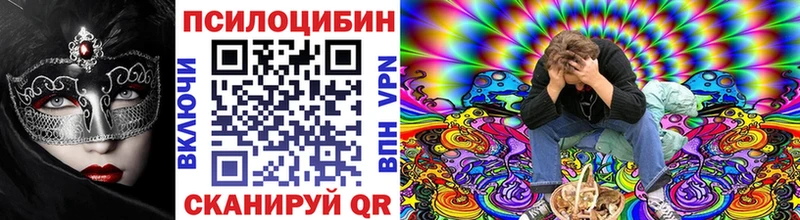 где продают Нолинск blacksprut ТОР Галлюциногенные грибы Psilocybine cubensis
